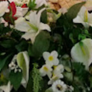 Meet your Posher, Edlira